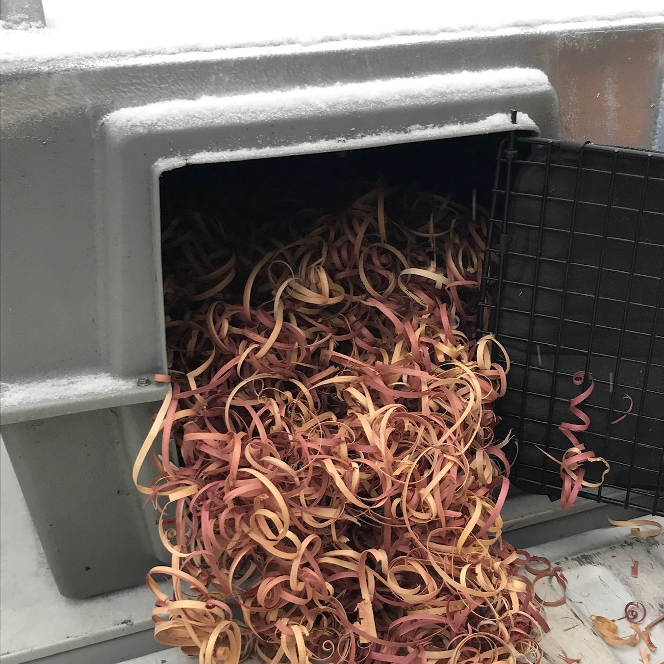 A dog kennel, in a truck bed in winter, filled with abundant red cedar ribbon. 