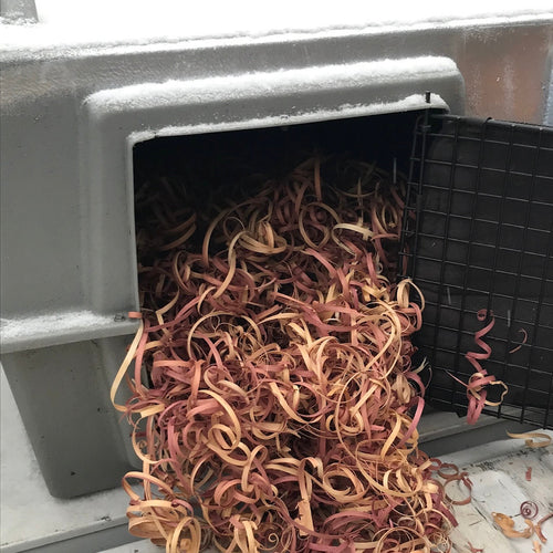 A dog kennel, in a truck bed in winter, filled with abundant red cedar ribbon. 