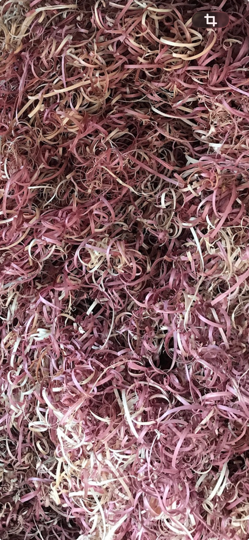 A close-up view of fresh red cedar ribbon curls, filling the entire frame. These are used for dog kennel bedding. 